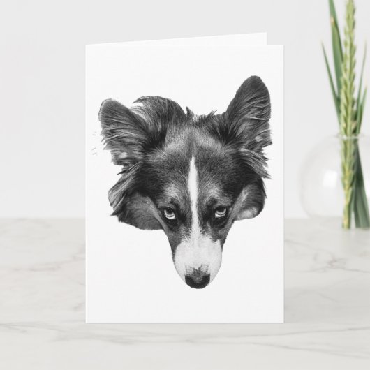 シルバーライトコンパニオン カード (正面)