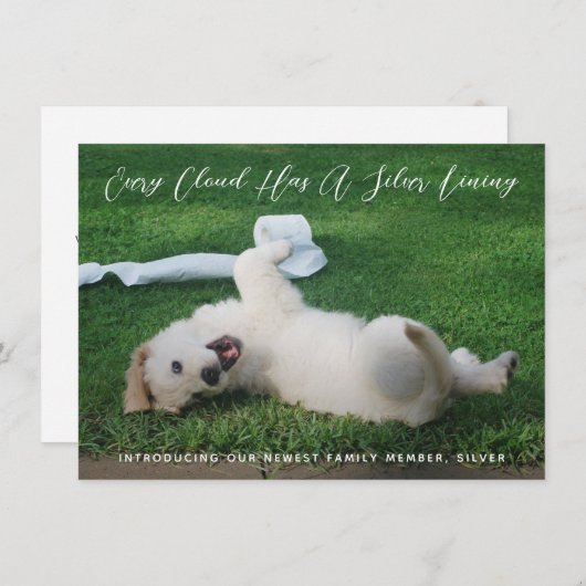 シルバーライニングフォトペットの採用 案内状 (正面/裏面)