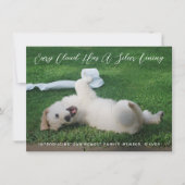 シルバーライニングフォトペットの採用 案内状 (正面)