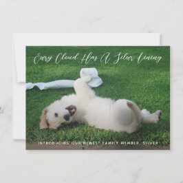 シルバーライニングフォトペットの採用 案内状