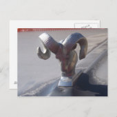 シルバーラム ポストカード (正面/裏面)