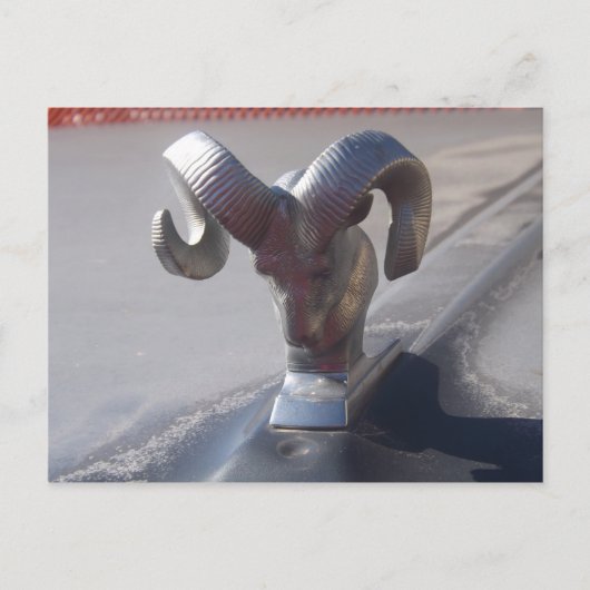 シルバーラム ポストカード (正面)