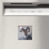 シルバーラム マグネット (インサイチュ (食洗機))