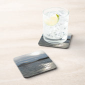 シルバーレイクサンドドゥーンズ コースター (右側)