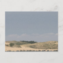 シルバーレイクミシガンポストカード