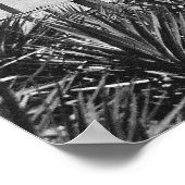 シルバーレイク：オクラコケ， NC ポスター (角)