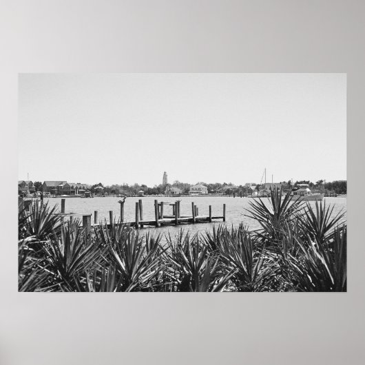 シルバーレイク：オクラコケ， NC ポスター (正面)