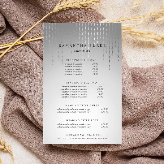 シルバーレインの価格とサービス チラシ