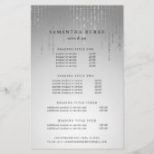 シルバーレインの価格とサービス チラシ (正面)