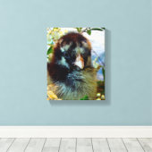 シルバーレースのコーチンシック キャンバスプリント (インサイチュ (ウッドフロア))