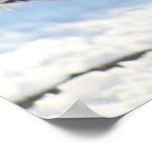 シルバーレースポーランドクレステッドのポスター ポスター (角)