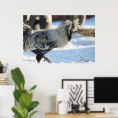 シルバーレースポーランドクレステッドのポスター ポスター (ホームオフィス)