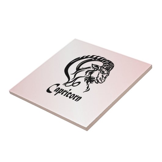 シルバー山羊座ザシーヤギ〔占星術の〕十二宮図 タイル (側面)