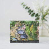 シルバー川に沿った野生生物 ポストカード (スタンド正面)