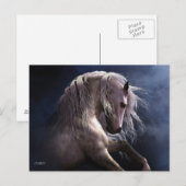 シルバー幽霊はがき ポストカード (正面/裏面)