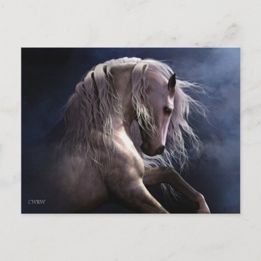 シルバー幽霊はがき ポストカード (正面)