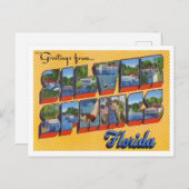 シルバー春、フロリダヴィンテージビッグ・レター ポストカード (正面/裏面)