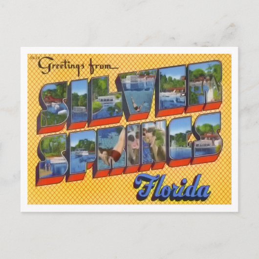 シルバー春、フロリダヴィンテージビッグ・レター ポストカード (正面)