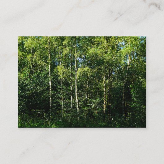 シルバー樺の木ツリー、ミニフォト 名刺 (正面)