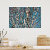 シルバー樺の木ブランチin the Sun ポスター (キッチン)