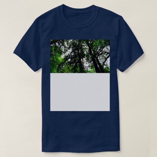 シルバー滝州パークオレゴン Tシャツ (デザイン正面)