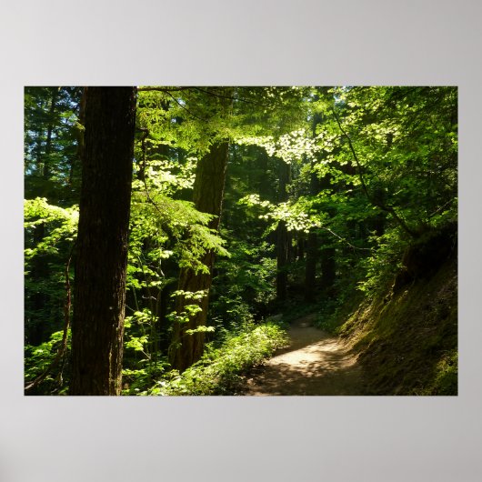 シルバー秋から歩く ポスター (正面)