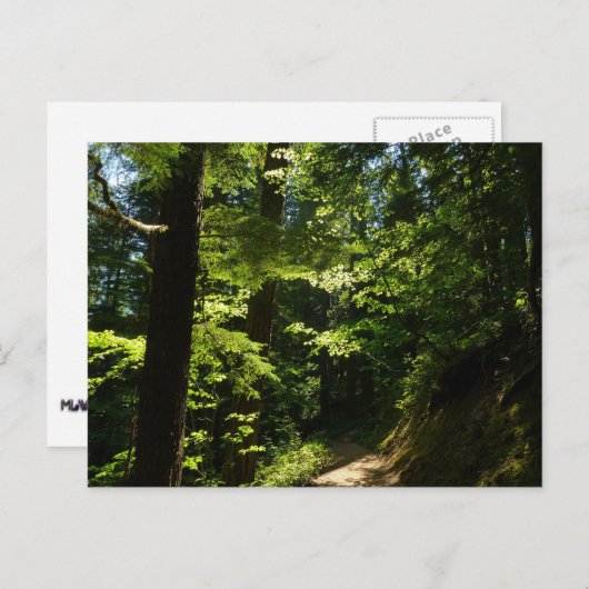 シルバー秋から歩く ポストカード (正面/裏面)