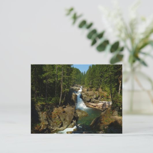 シルバー秋ズアット山レイニエールナショナルパーク ポストカード (スタンド正面)