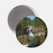 シルバー秋ズアット山レイニエールナショナルパーク マグネット (正面/裏面)