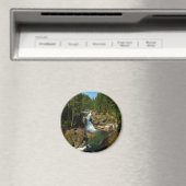 シルバー秋ズアット山レイニエールナショナルパーク マグネット (インサイチュ (食洗機))