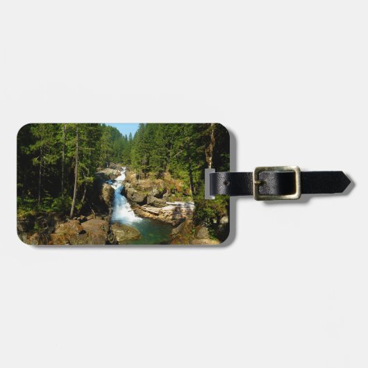 シルバー秋ズアット山レイニエールナショナルパーク ラゲッジタグ (正面横)