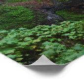 シルバー秋州パークの南秋のビュー ポスター (角)