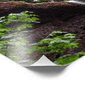 シルバー秋州パーク フォトプリント            (角)