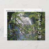 シルバー秋4 ポストカード (正面/裏面)