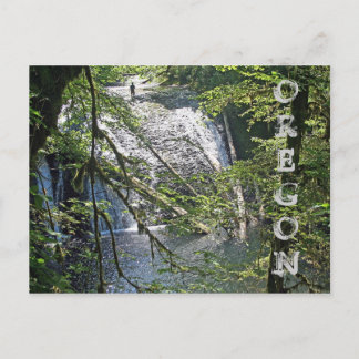 シルバー秋4 ポストカード