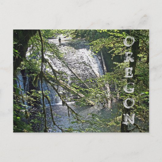 シルバー秋4 ポストカード (正面)