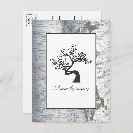 シルバー素朴樺の木ツリーベビー発表 案内ポストカード (正面/裏面)