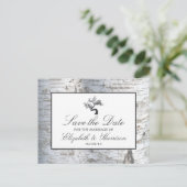 シルバー素朴樺の木ツリー日付の保存 案内ポストカード (スタンド正面)