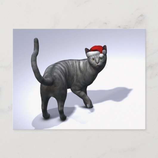 シルバー虎猫サンタクロースハット シーズンポストカード (正面)