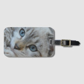 シルバー虎猫シャメゼ ラゲッジタグ (正面横)