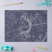 シルバー銀河系スターマップシリーズデザイン10 薄葉紙 (クラフト)