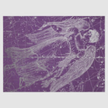 シルバー銀河系スターマップシリーズデザイン11