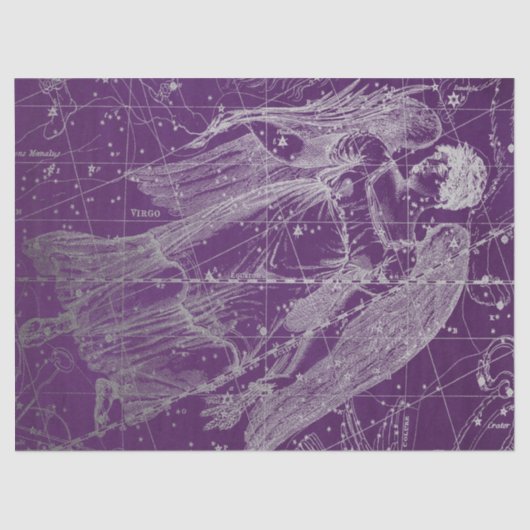 シルバー銀河系スターマップシリーズデザイン11 薄葉紙 (正面)