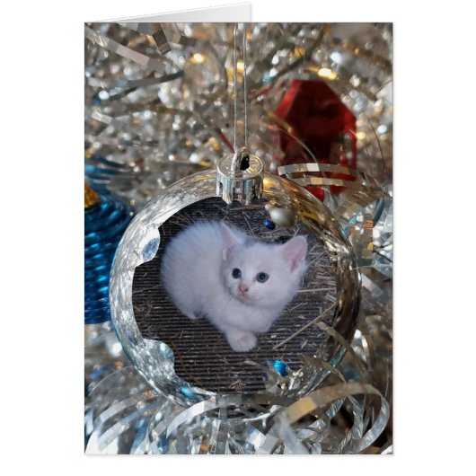 シルバー電球フルフレーム (正面)