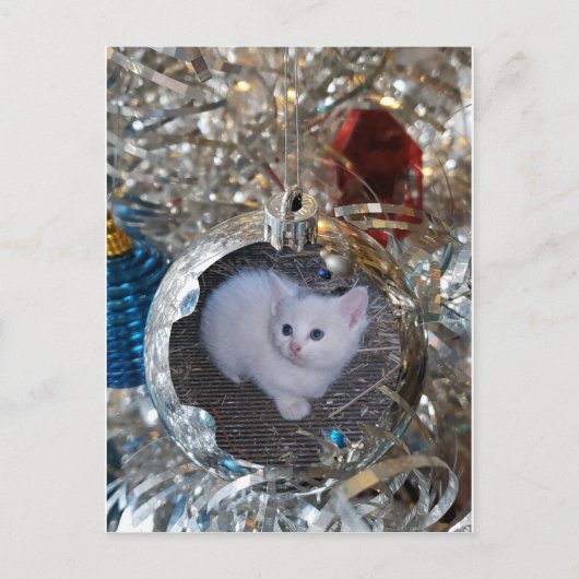 シルバー電球フルフレーム ポストカード (正面)