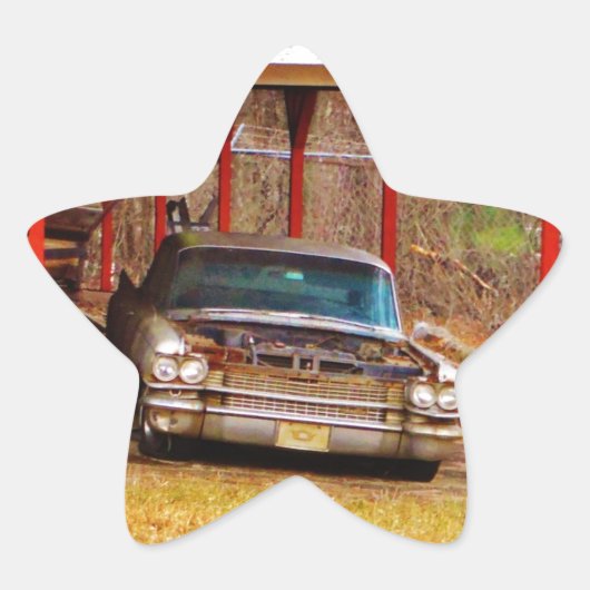 シルバー1963サダンデヴィル 星シール (正面)