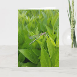 シルバー・ドラゴンフライ・ノテ空白のクアーズ（内側） カード