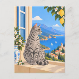 シルバー ベンガル 地中海の猫 ポストカード