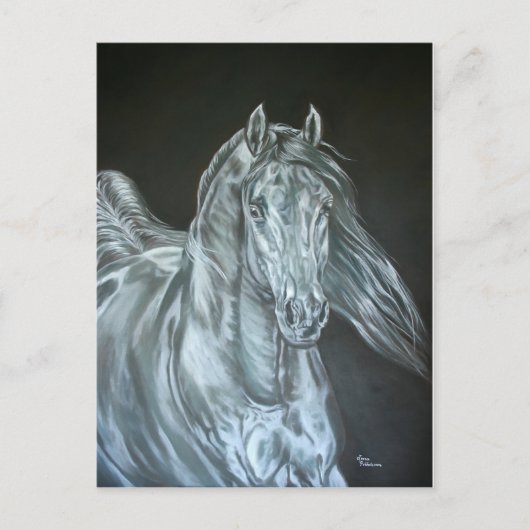 シルバー ポストカード (正面)