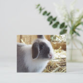 シルバー ポストカード (スタンド正面)